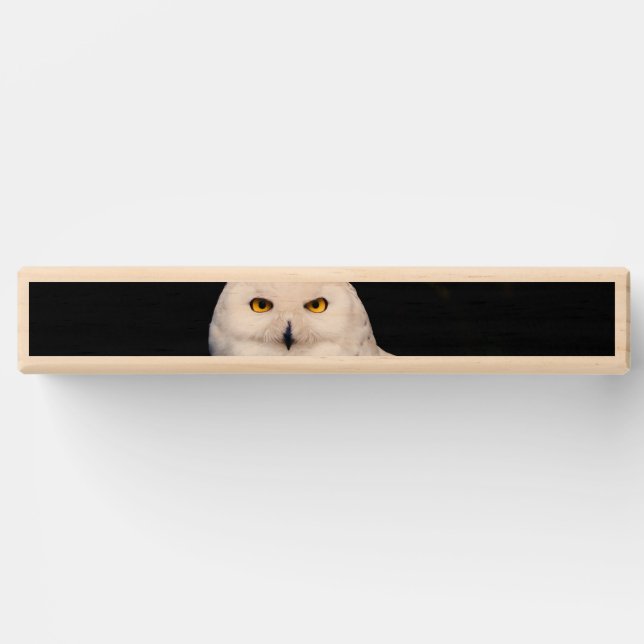 Majestic winter snowy owl topple tower (Front)