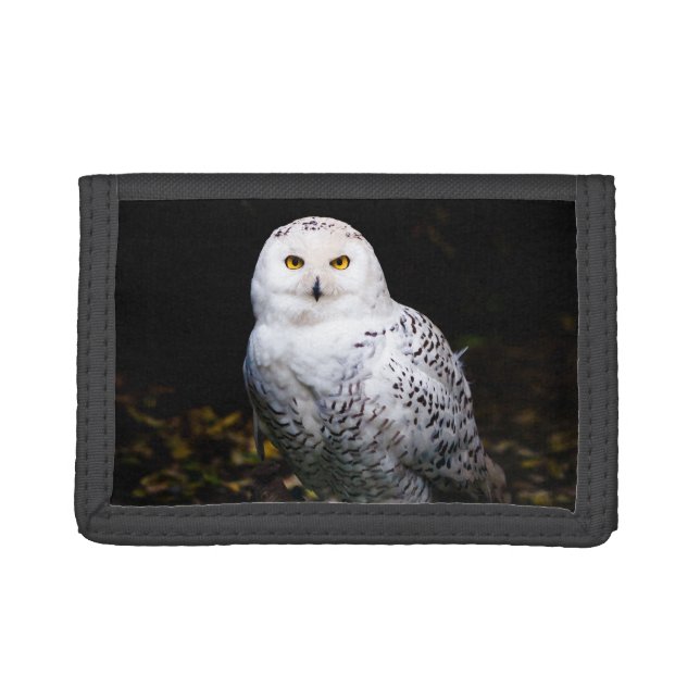 Majestic winter snowy owl trifold wallet (Front)