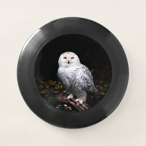 Majestic winter snowy owl Wham_O frisbee