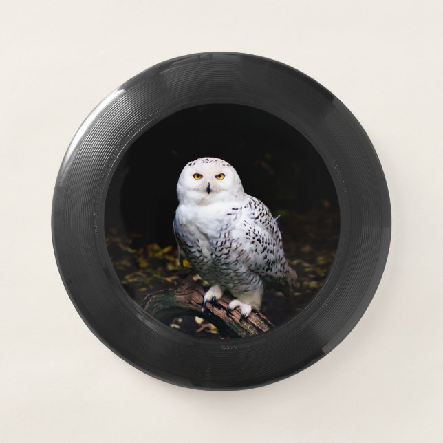 Majestic winter snowy owl Wham-O frisbee (Front)