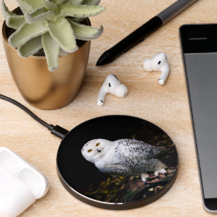 Majestic winter snowy owl wireless charger 