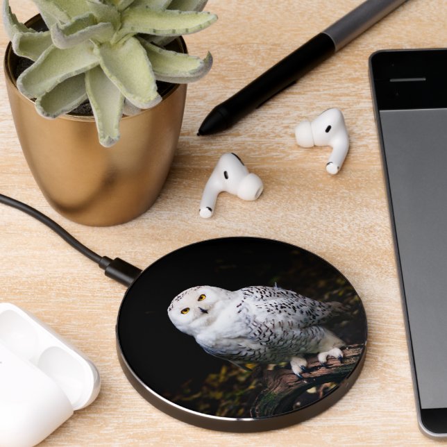Majestic winter snowy owl wireless charger  (Desk 2)