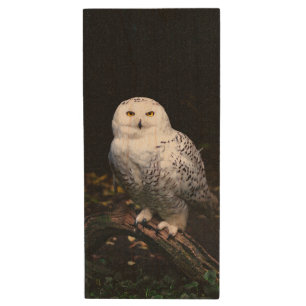 Majestic winter snowy owl wood flash drive
