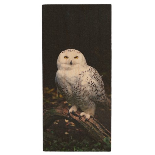 Majestic winter snowy owl wood flash drive