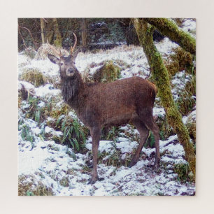 Majestic Winter Stag Snowy Forest Wildlife Scenic Jigsaw Puzzle