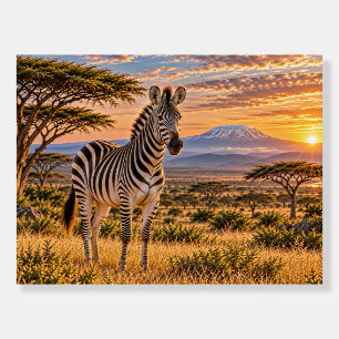 Majestic Zebra African Savanna Sunset Foam Board