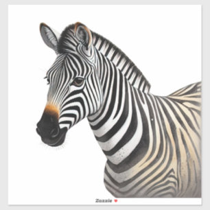 Majestic Zebra Portrait Realistic Wildlife Art Sticker