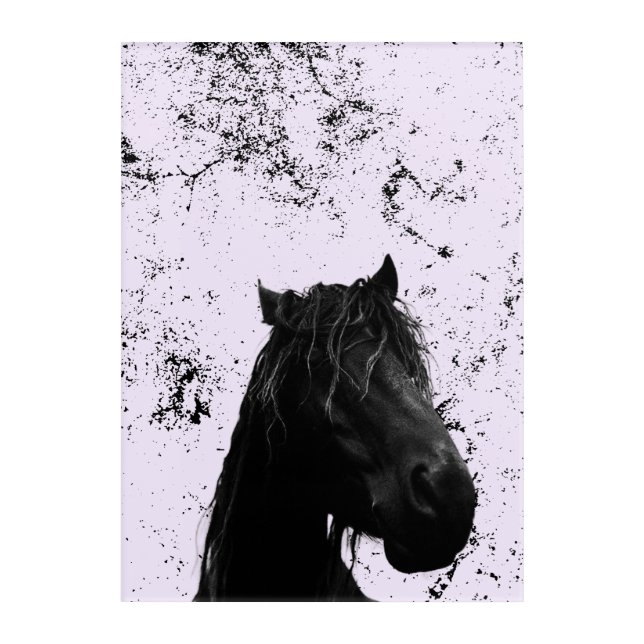 Majesty  acrylic print (Front)