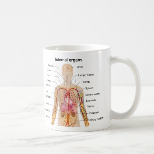 Major Internal Organs in the Human Body Chart Coffee Mug