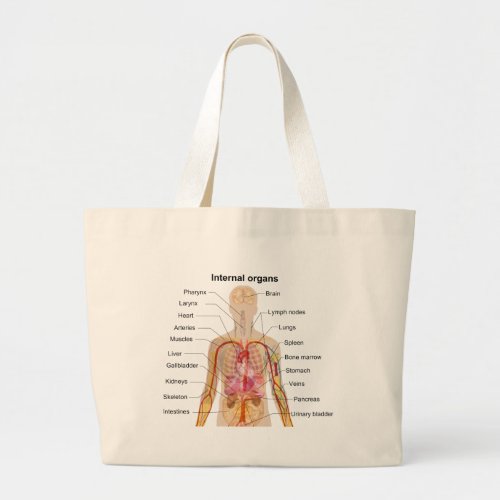 Major Internal Organs in the Human Body Chart Large Tote Bag