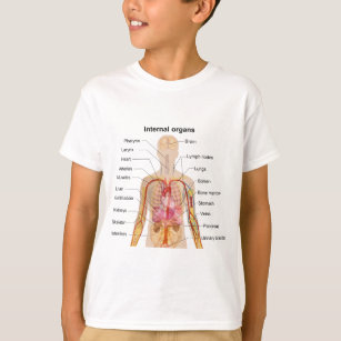 Major Internal Organs in the Human Body Chart T-Shirt