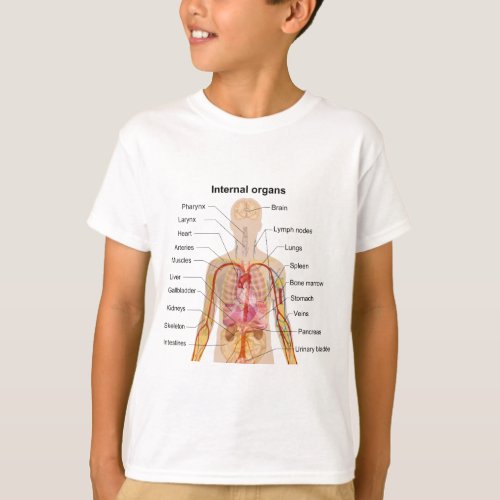 Major Internal Organs in the Human Body Chart T-Shirt