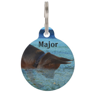 Major The German Shepherd, Pet Tag. Pet ID Tag