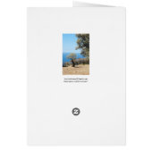 Majorca Cards (Back)