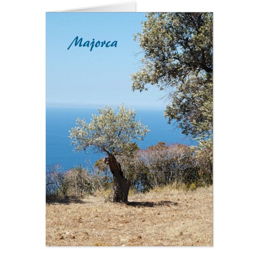Majorca Cards (Front)