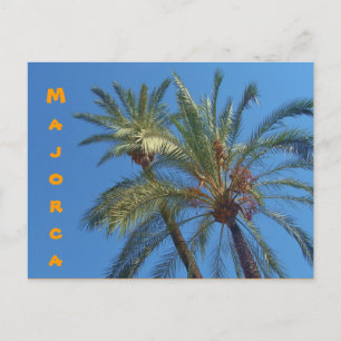 Majorca Palms - Postcard