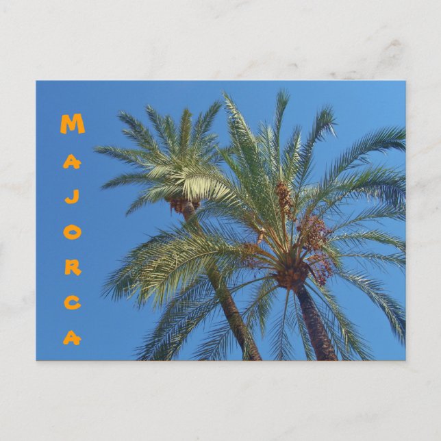 Majorca Palms - Postcard (Front)