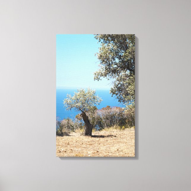 Majorca Wrapped Canvas Print (Front)