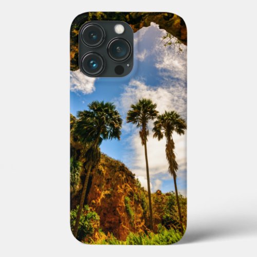 Makauwahi Cave Palm Trees Kauai Hawaii iPhone 13 Pro Case