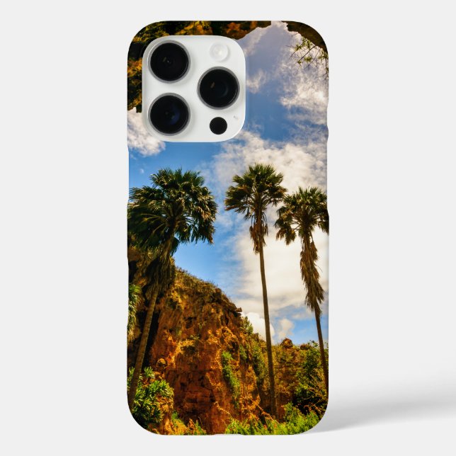 Makauwahi Cave Palm Trees, Kauai, Hawaii Case-Mate iPhone Case (Back)