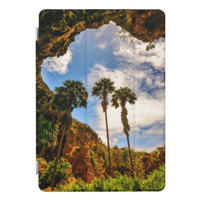 Makauwahi Cave Palm Trees, Kauai, Hawaii iPad Pro Cover (Front)