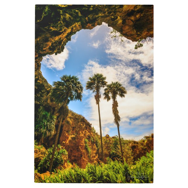 Makauwahi Cave Palm Trees, Kauai, Hawaii Metal Print (Front)