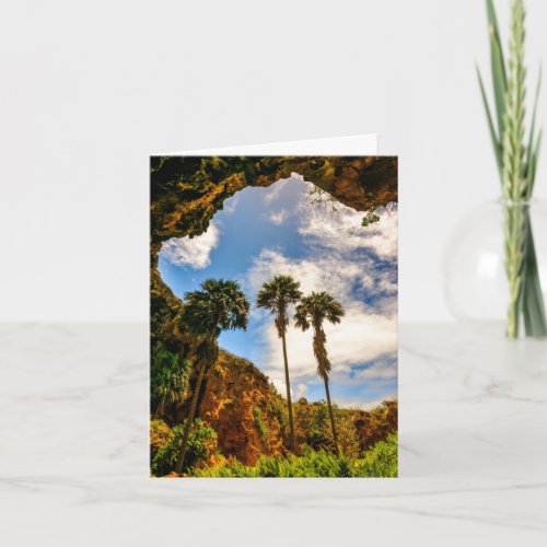 Makauwahi Cave Palm Trees Kauai Hawaii  Note Card