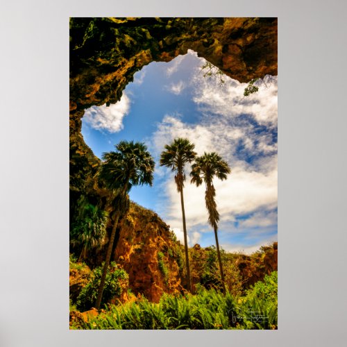 Makauwahi Cave Palm Trees Kauai Hawaii Poster