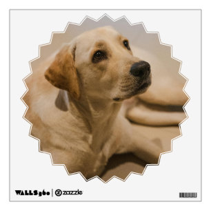 Make a personalized wall decal