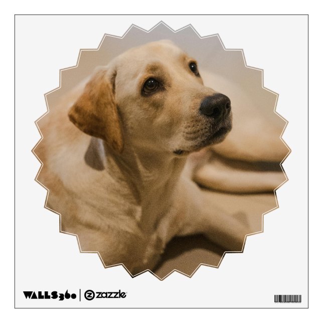 Make a personalized wall decal  (Front)