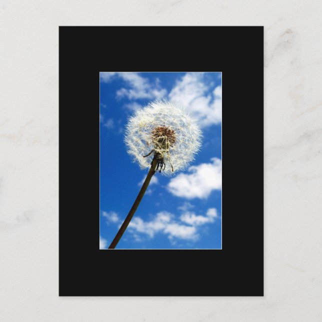 Make a Wish ACEO Art Trading Card (Front)