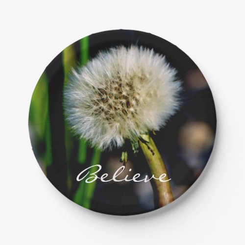 Make a Wish Believe Dandelion Paper Plates