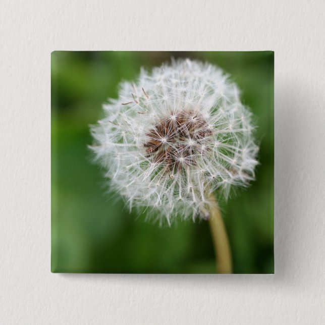 Make A Wish! Dandelion Pinback Button (Front)