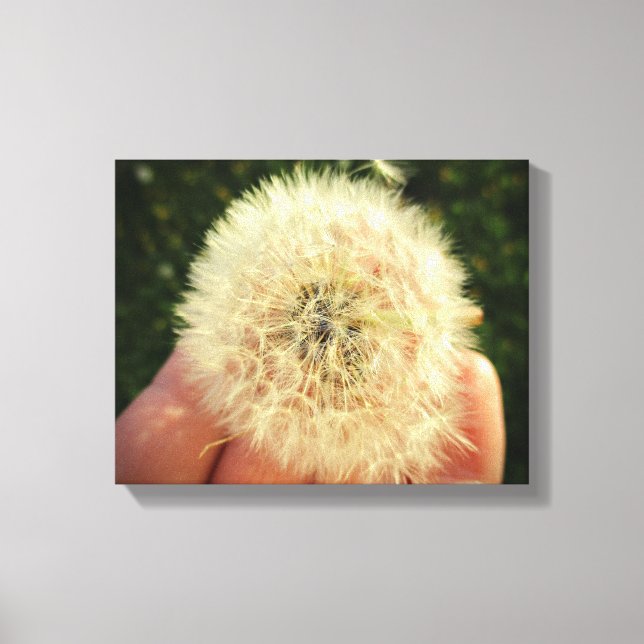 "Make a Wish" Dandelion Seed Head Canvas Print (Front)