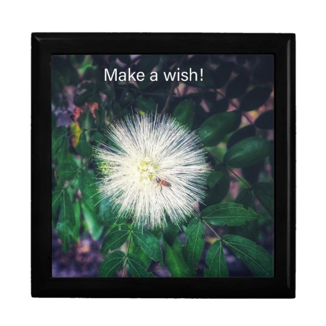 Make a wish! gift box (Front)