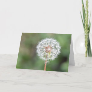 Make a Wish Greeting Card (Blank Inside)