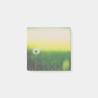 Make a Wish Post It Notes