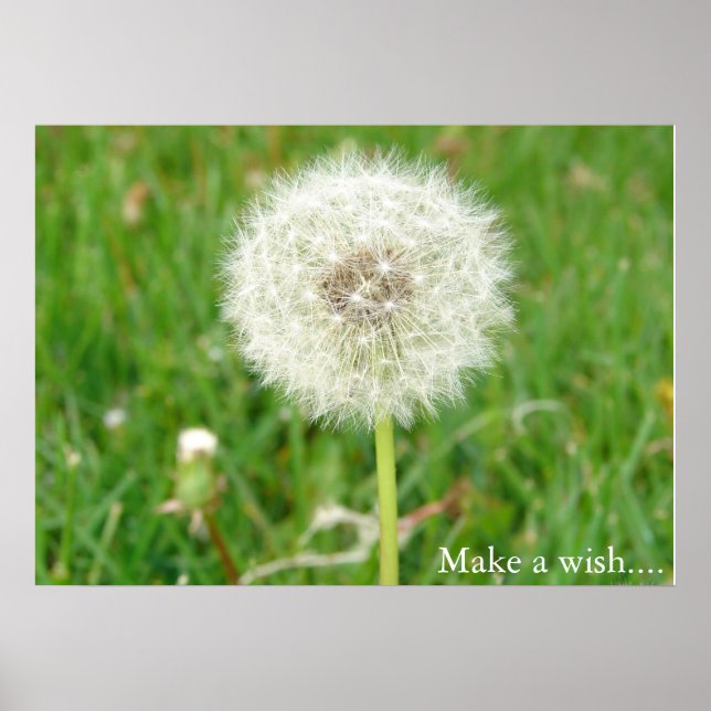 Make a Wish Poster (Front)