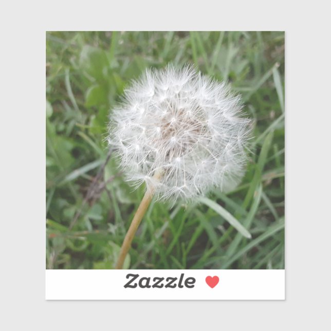 Make a Wish Sticker (Sheet)