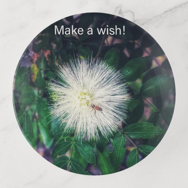 Make a wish! trinket tray (Front)
