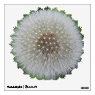 Make A Wish Wall Sticker