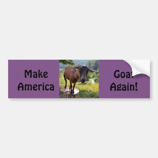 Make America Goat Again Bumper Sticker (Front)