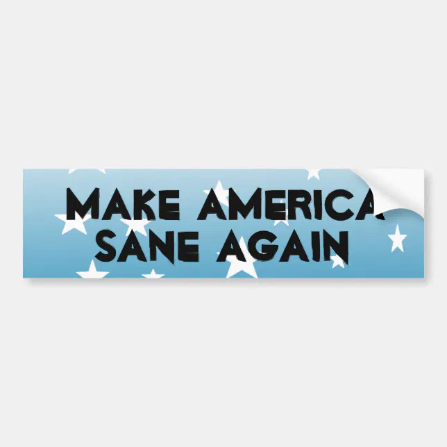 Make America Sane Again Bumper Sticker | Zazzle