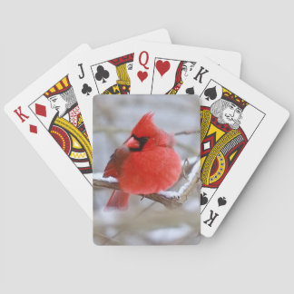 Make_Cardinal_Cards Poker Cards