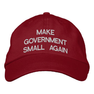 MAKE GOVERNMENT SMALL AGAIN cap