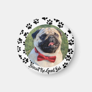 Make It a Puppy Dog Magnet