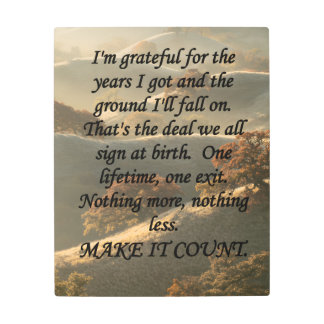 Make It Count Metal Print