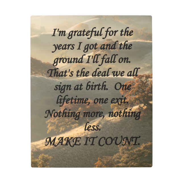 Make It Count Metal Print (Front)