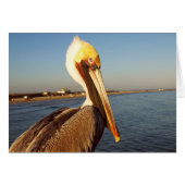 Make Me Blush (Front Horizontal)