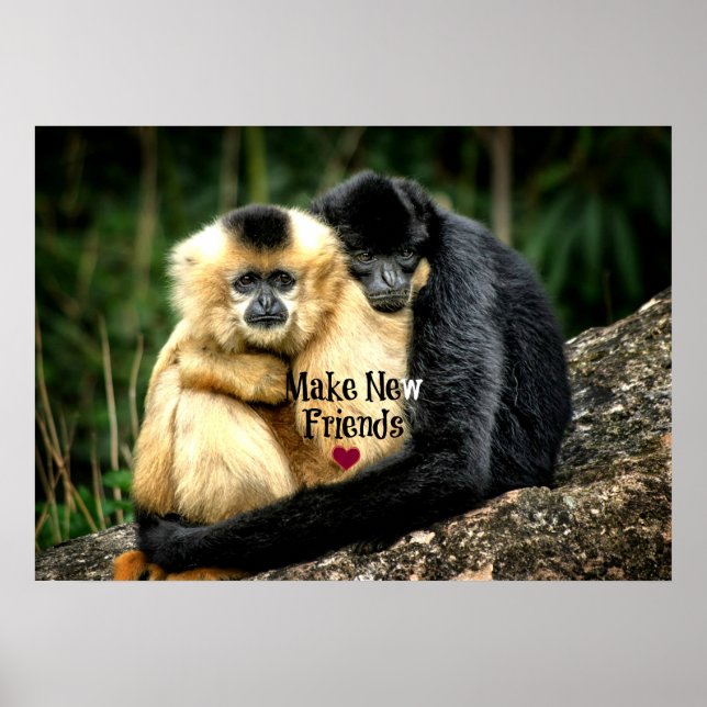 "Make New Friends" Poster (Front)